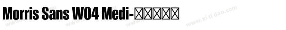 Morris Sans W04 Medi字体转换